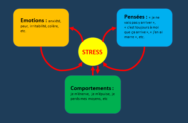 Les schémas du stress