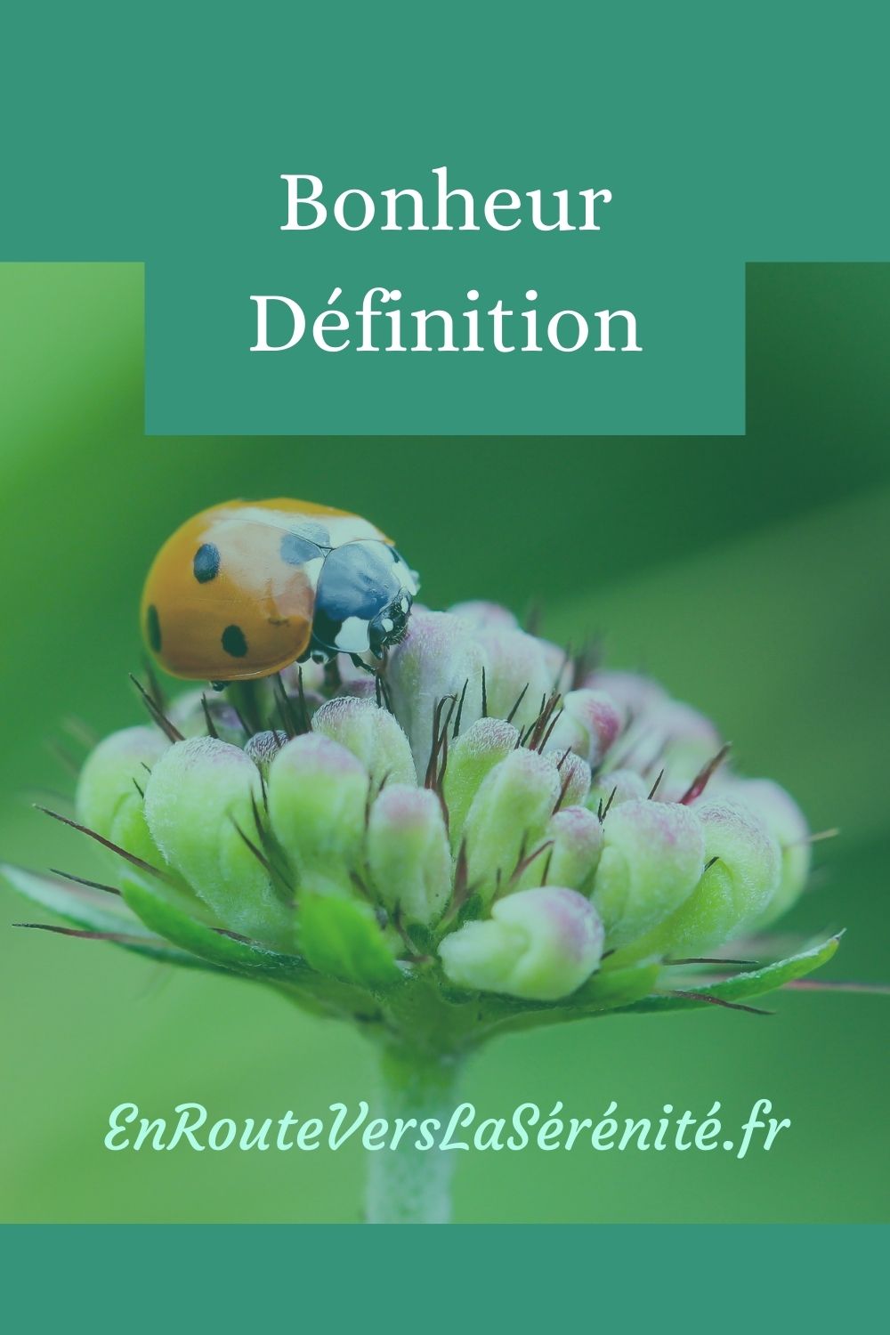 La définition du bonheur En route vers la sérénité