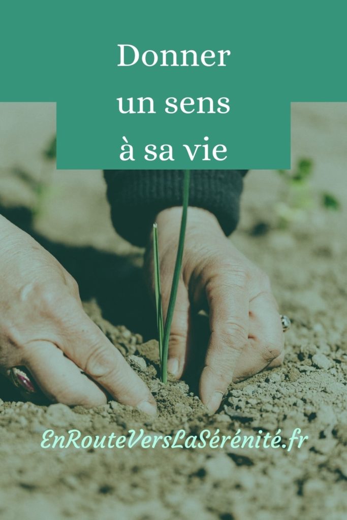 Donner un sens à sa vie En route vers la sérénité