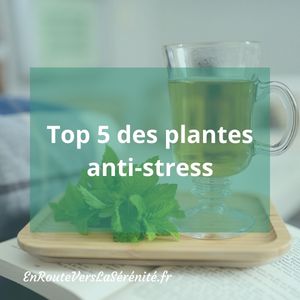 plantes anti stress